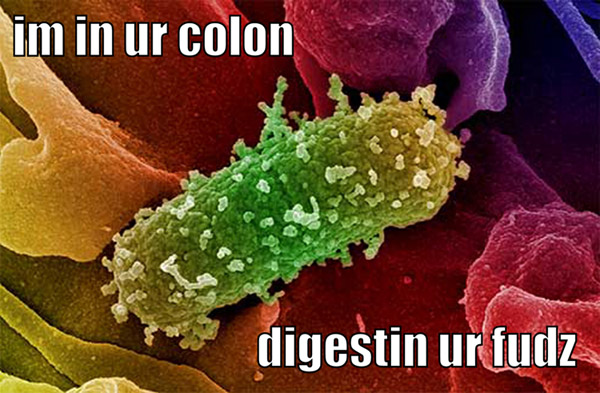 False-color micrograph of e.coli, with caption IM IN UR COLON DIGESTIN UR FUDZ.