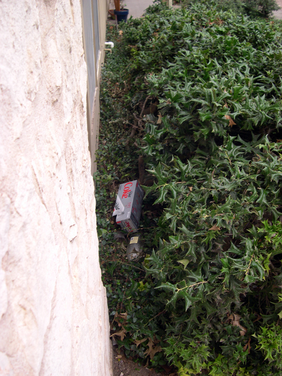 Litter accumulates irreversibly in the space between the building and the ouchie bushes.