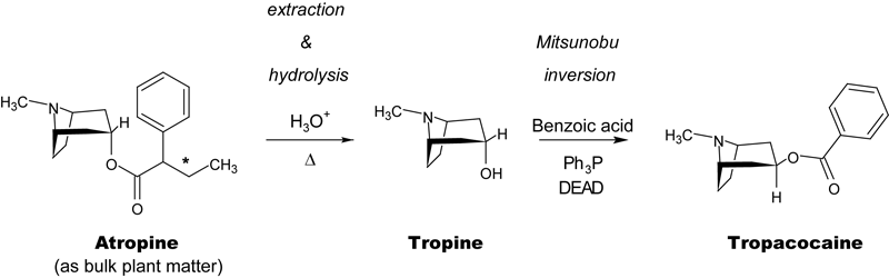 Acid hydrolysis of bulk plant matter yields tropine, which may be converted in one step to Tropacocaine via Mitsunobu inversion at the C3 alcohol.